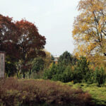 Jesień w Kielcach. Park. / Wojciech Habdas / Radio Kielce