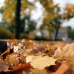 Jesień w Kielcach. Ul. Zamkowa. / Wojciech Habdas / Radio Kielce