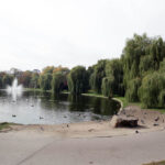 Jesień w Kielcach. Staw w Parku Miejskim. / Wojciech Habdas / Radio Kielce