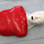 Rekord w resuscytacji krążeniowo-oddechowej w Centrum Symulacji Medycznych UJK / Wojciech Habdas / Radio Kielce