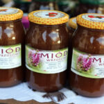 Piknik Pszczelarski w Parku Etnograficznym w Tokarni / Wojciech Habdas / Radio Kielce