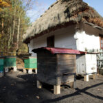 Piknik Pszczelarski w Parku Etnograficznym w Tokarni / Wojciech Habdas / Radio Kielce