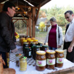 Piknik Pszczelarski w Parku Etnograficznym w Tokarni / Wojciech Habdas / Radio Kielce
