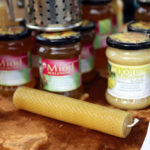 Piknik Pszczelarski w Parku Etnograficznym w Tokarni / Wojciech Habdas / Radio Kielce