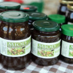 Piknik Pszczelarski w Parku Etnograficznym w Tokarni / Wojciech Habdas / Radio Kielce