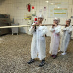 Wizyta w Piekarni Pod Telegrafem. Dzień Dobry Dzieci (27.10.2013.) / Wojciech Habdas / Radio Kielce