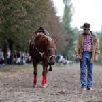 Hubertus Świętokrzyski w Tokarni. Pokaz jazdy w stylu West / Wojciech Habdas / Radio Kielce