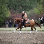 Hubertus Świętokrzyski w Tokarni. Pokaz jazdy w stylu West / Wojciech Habdas / Radio Kielce