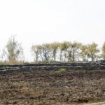 Ogród Botaniczny Geoparku Kielce / Stanisław Blinstrub / Radio Kielce