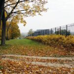 Ogród Botaniczny Geoparku Kielce / Stanisław Blinstrub / Radio Kielce