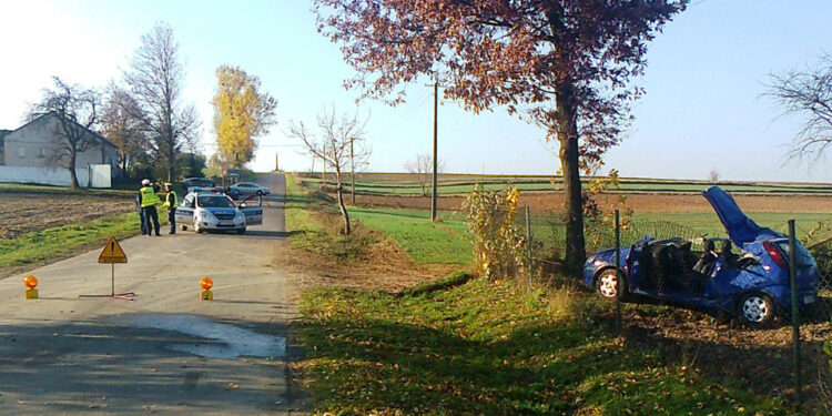 Tragiczny wypadek w Czernikowie Karskim - Radio Kielce fot.Policja