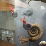 Piotr Michalski / Radio Kielce