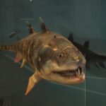 Piotr Michalski / Radio Kielce