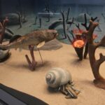 Piotr Michalski / Radio Kielce