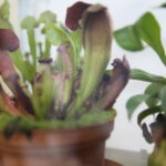 Dzień Dobry Dzieci i doświadczenia w Minilabie. / Stanisław Blinstrub / Radio Kielce