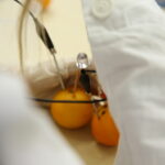 Dzień Dobry Dzieci i doświadczenia w Minilabie. / Stanisław Blinstrub / Radio Kielce