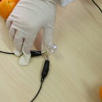 Dzień Dobry Dzieci i doświadczenia w Minilabie. / Stanisław Blinstrub / Radio Kielce