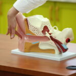 Dzień Dobry Dzieci i doświadczenia w Minilabie. / Stanisław Blinstrub / Radio Kielce