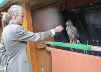 Sokolnicy spotkali się w Zagnańsku / Ewa Okońska / Radio Kielce