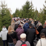 1.11.2013 Cmentarz w Cedzynie. Dzień Wszystkich Świętych. Procesja żałobna, której przewodniczył biskup Ordynariusz Diecezji Kieleckiej Kazimierz Ryczan. / Wojciech Habdas / Radio Kielce