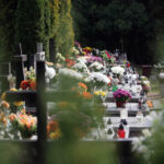 1.11.2013 Cmentarz w Cedzynie. Dzień Wszystkich Świętych. / Wojciech Habdas / Radio Kielce