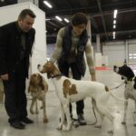 7. Międzynarodowa Wystawa Psów Rasowych / Kamil Król / Radio Kielce