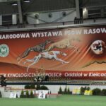 7. Międzynarodowa Wystawa Psów Rasowych / Kamil Król / Radio Kielce