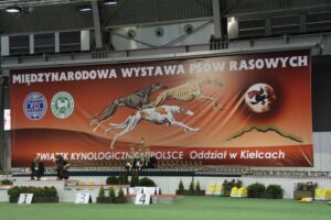 7. Międzynarodowa Wystawa Psów Rasowych / Kamil Król / Radio Kielce