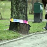 Mieszkańcy ul. św. Stanisława Kostki ubrali drzewa w szaliki. / Stanisław Blinstrub / Radio Kielce