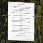 Mieszkańcy ul. św. Stanisława Kostki ubrali drzewa w szaliki. / Stanisław Blinstrub / Radio Kielce