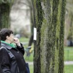 Mieszkańcy ul. św. Stanisława Kostki ubrali drzewa w szaliki. / Stanisław Blinstrub / Radio Kielce