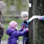 Mieszkańcy ul. św. Stanisława Kostki ubrali drzewa w szaliki. / Stanisław Blinstrub / Radio Kielce