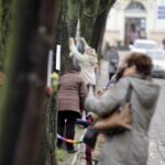 Mieszkańcy ul. św. Stanisława Kostki ubrali drzewa w szaliki. / Stanisław Blinstrub / Radio Kielce