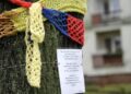 Mieszkańcy ul. św. Stanisława Kostki ubrali drzewa w szaliki. / Stanisław Blinstrub / Radio Kielce