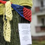 Mieszkańcy ul. św. Stanisława Kostki ubrali drzewa w szaliki. / Stanisław Blinstrub / Radio Kielce