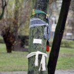 Mieszkańcy ul. św. Stanisława Kostki ubrali drzewa w szaliki. / Stanisław Blinstrub / Radio Kielce