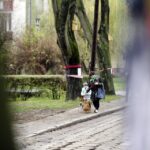 Mieszkańcy ul. św. Stanisława Kostki ubrali drzewa w szaliki. / Stanisław Blinstrub / Radio Kielce