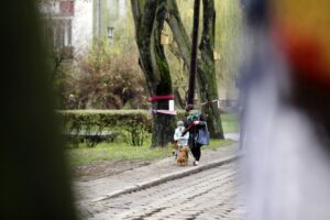 Mieszkańcy ul. św. Stanisława Kostki ubrali drzewa w szaliki. / Stanisław Blinstrub / Radio Kielce