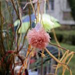 Mieszkańcy ul. św. Stanisława Kostki ubrali drzewa w szaliki. / Stanisław Blinstrub / Radio Kielce