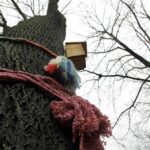 Mieszkańcy ul. św. Stanisława Kostki ubrali drzewa w szaliki. / Stanisław Blinstrub / Radio Kielce