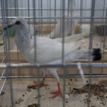 Piotr Michalski / Radio Kielce