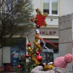 Choinki kieleckich gimnazjów na Placu Artystów / Piotr Michalski / Radio Kielce