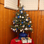 Choinka ufundowana przez gminę Daleszyce / Piotr Michalski / Radio Kielce