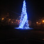 Na fotografii znajduje się choinka z parku w Pińczowie / Adrian Domagała