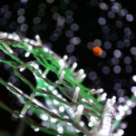 Świąteczne ozdoby na al. Solidarności  przyciągnęły uwagę pani Agaty / Agata