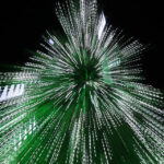 Świąteczne ozdoby na al. Solidarności  przyciągnęły uwagę pani Agaty / Agata