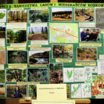 Finał Konkursu "Ekologia, My i region w którym żyjemy" / Wojciech Habdas / Radio Kielce