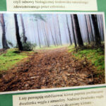 Finał Konkursu "Ekologia, My i region w którym żyjemy" / Wojciech Habdas / Radio Kielce