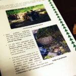 Finał Konkursu "Ekologia, My i region w którym żyjemy" / Wojciech Habdas / Radio Kielce