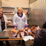 Po raz czwarty w Kielcach odbył się Eko-Bazar przy ulicy Batalionów Chłopskich / Wojciech Habdas / Radio Kielce